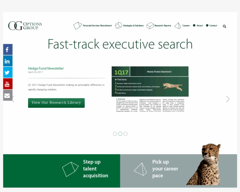 Website History - Domestic Short-haired Cat, transparent png #7976922