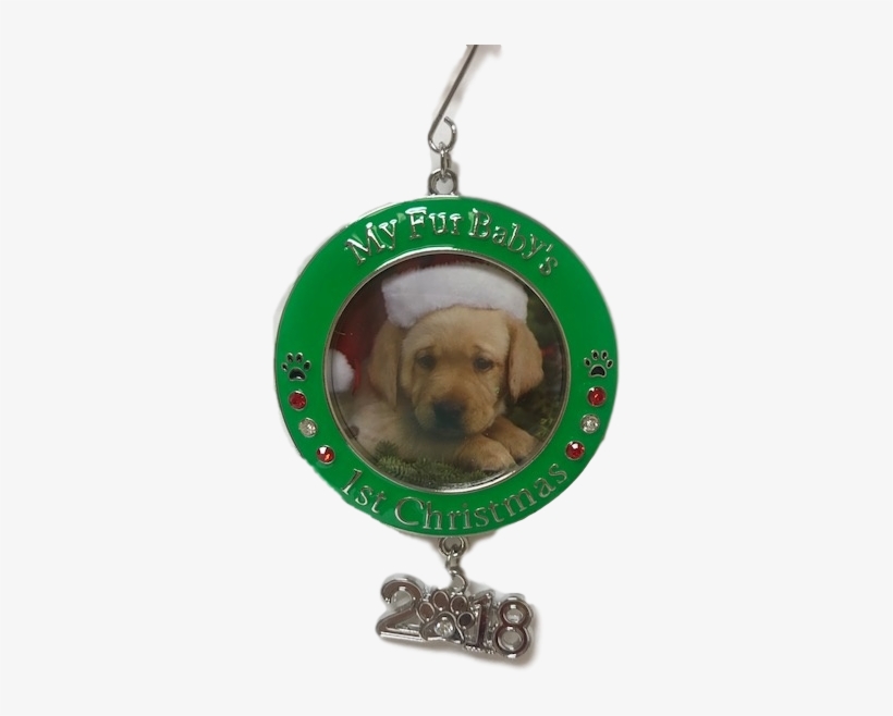 Pet's First Christmas - Dachshund, transparent png #7977576