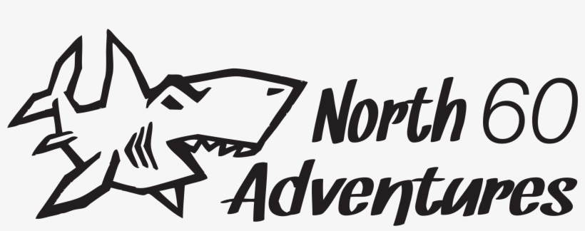 Scuba Diving, Shark Snorkeling And Wilderness Photography - Poster, transparent png #7979355