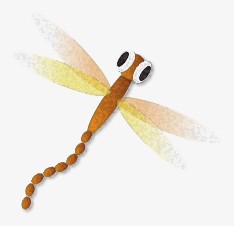 $500 - - Net-winged Insects, transparent png #7979892
