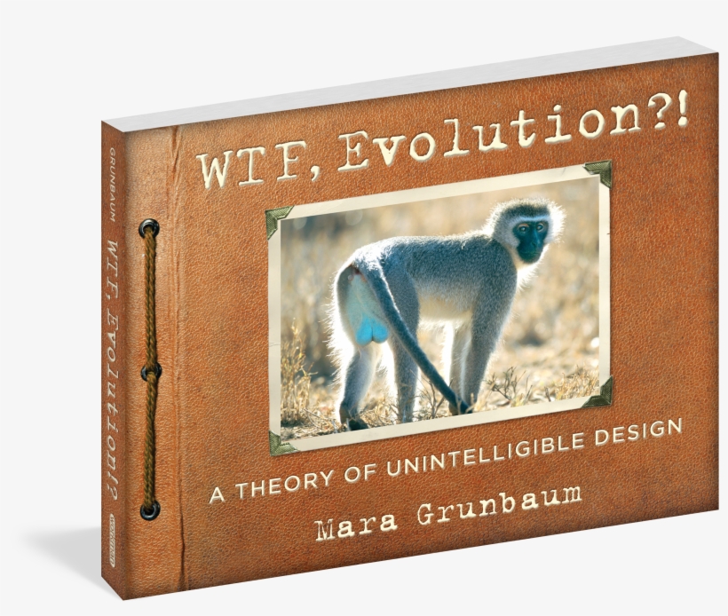 Wtf, Evolution?! A Theory Of Unintelligible Design, transparent png #7980062