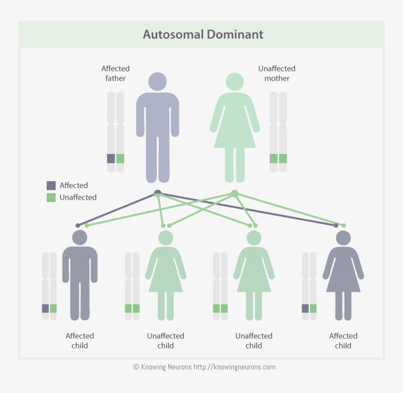 Girl Restroom, transparent png #7980565