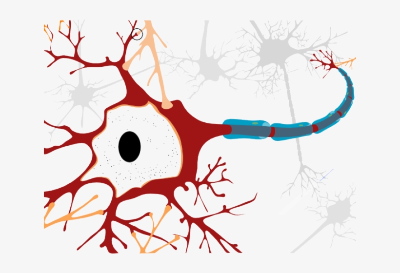 Motor Neurone Disease Cell, transparent png #7980788