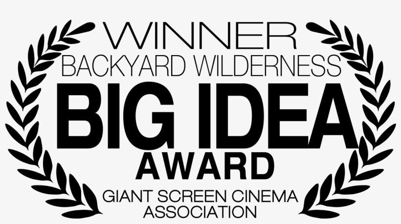 Sk Films - Oval, transparent png #7981355