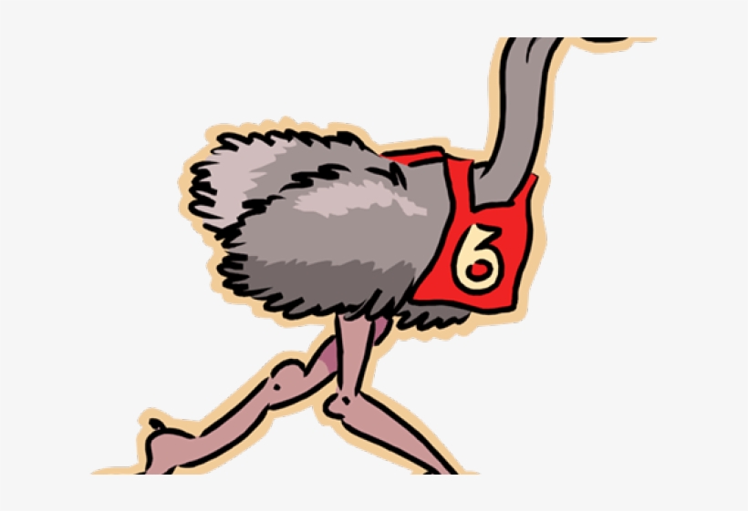 Emu Clipart Run - Emus Playing Football Cartoon, transparent png #7982623