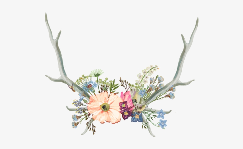 Antler Clipart Flower Crown - Aesthetic Tumblr Flower Drawing, transparent png #7983412