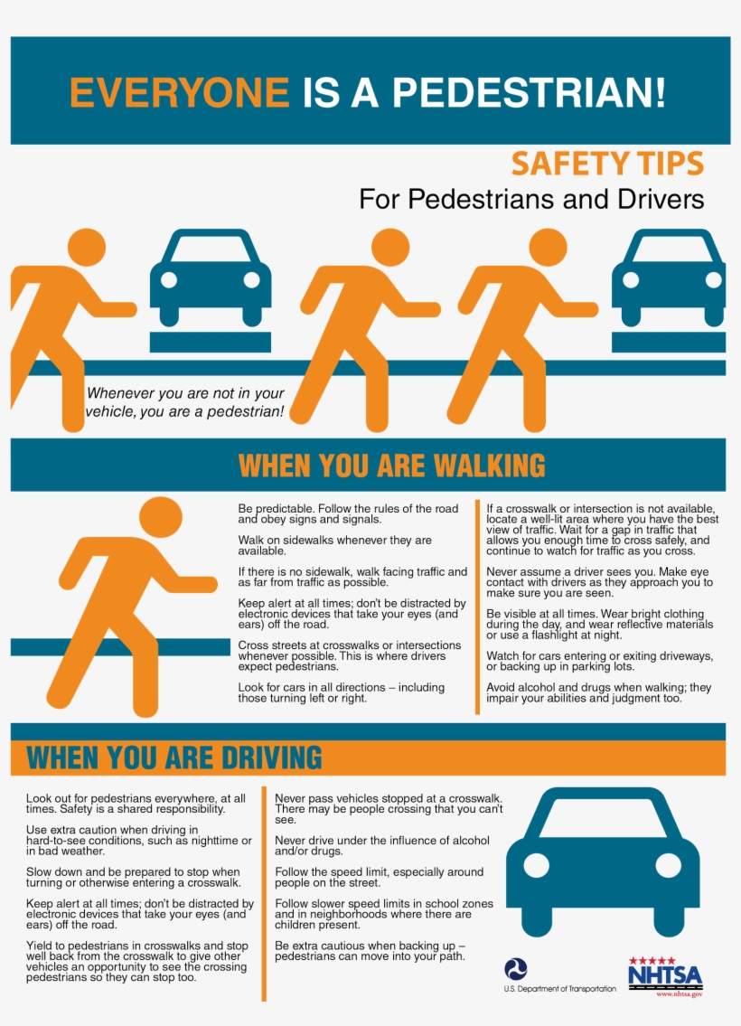 Mcdot News - Phillip Island, transparent png #7984438