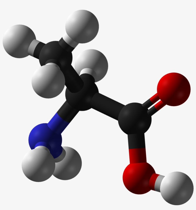 L Alanine 3d Balls - Cd Spectrum Of Enantiomers, transparent png #7986536