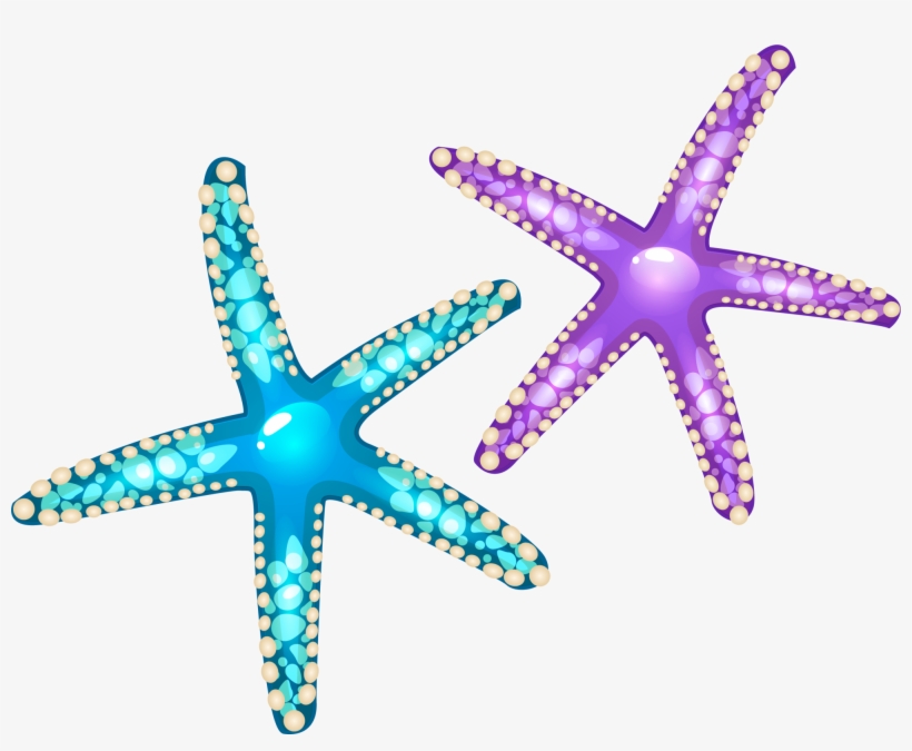 Starfish Euclidean Vector Seashell - Purple Starfish Png, transparent png #7987555