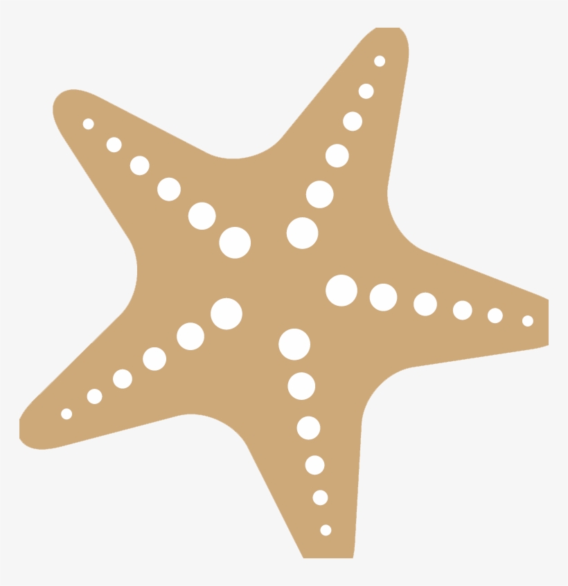 Starfish Png Free Download - Star Fish Silhouette, transparent png #7987586