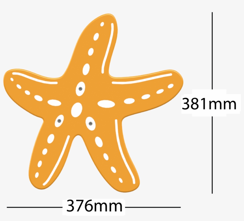 Technical Information - Starfish, transparent png #7987772