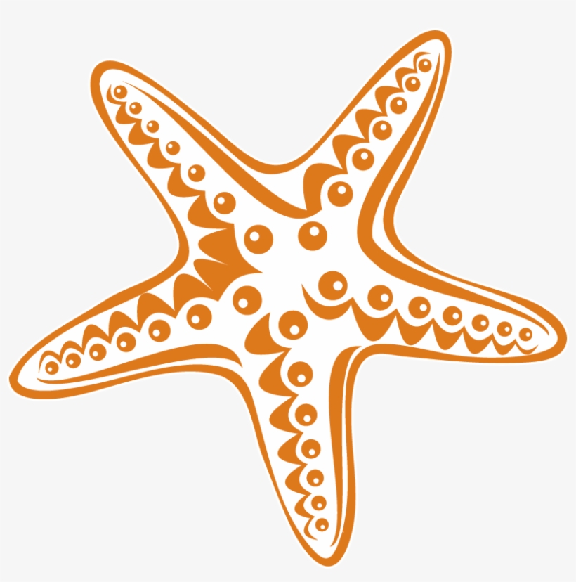 Special Offers - Starfish, transparent png #7988411