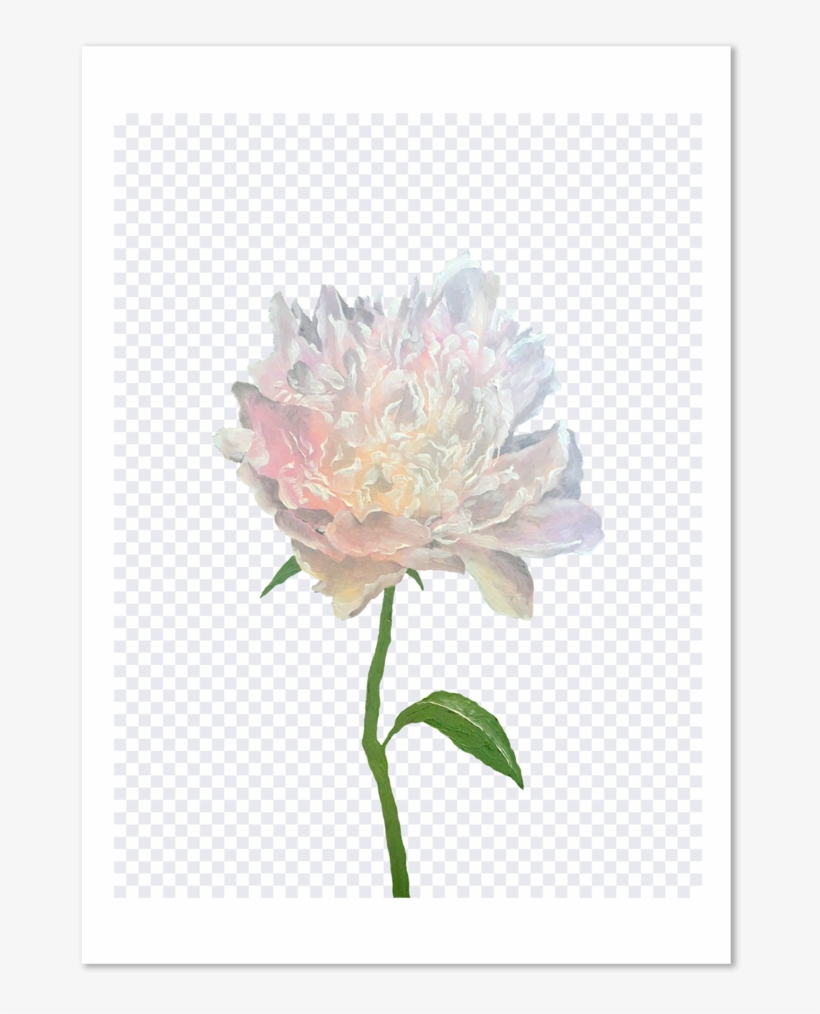 Wild Wild Flower, transparent png #7988678