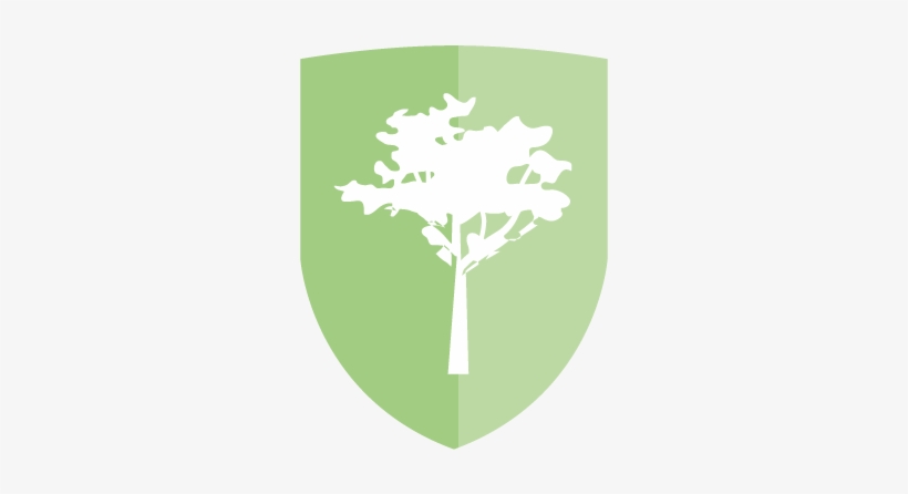Cool Earth Has Protected Over Nine Hundred Thousand - Tree, transparent png #7989002