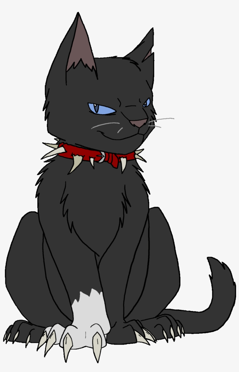 Edits Fluff , Sadden Expression , Soft Hair , Beanie - Kitten, transparent png #7989796