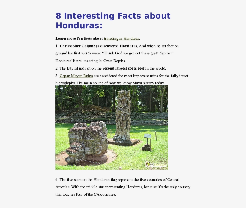 Docx - Grass, transparent png #7990762