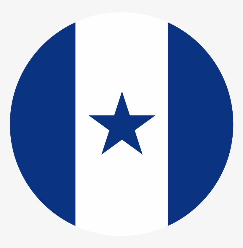 Insígnia Dos Aviões Militares Da Força Aérea Das Honduras - Symbols For Sovereignty, transparent png #7990964