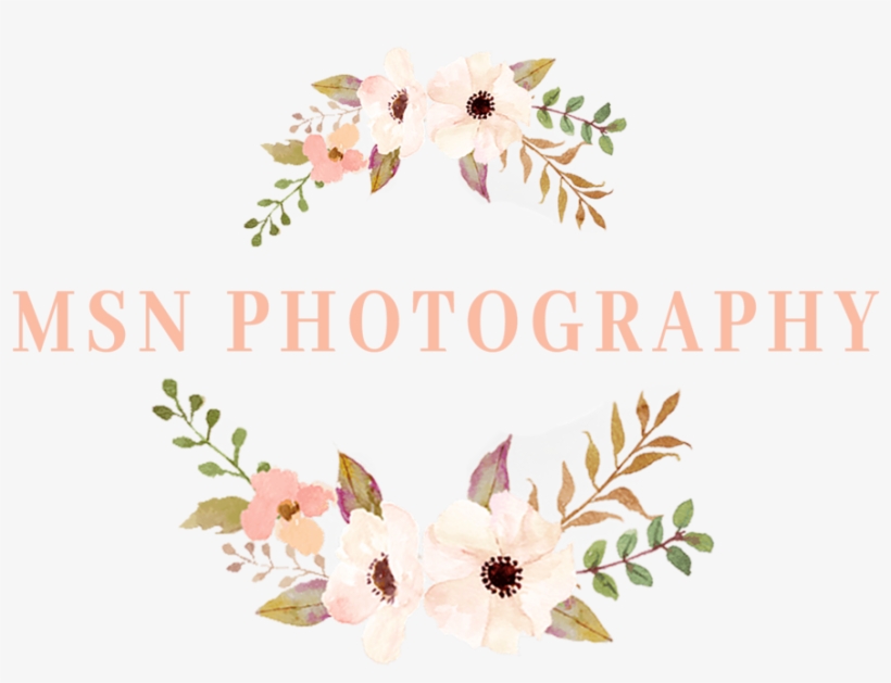 Msn Logo Png, transparent png #7991291