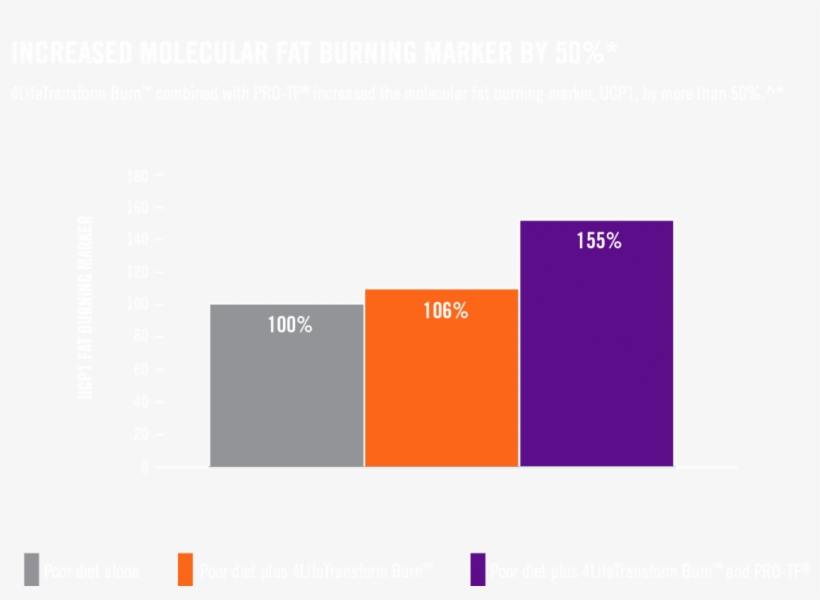 Pro-tf® 4lifetransform Burn™ - Graphic Design, transparent png #7992288