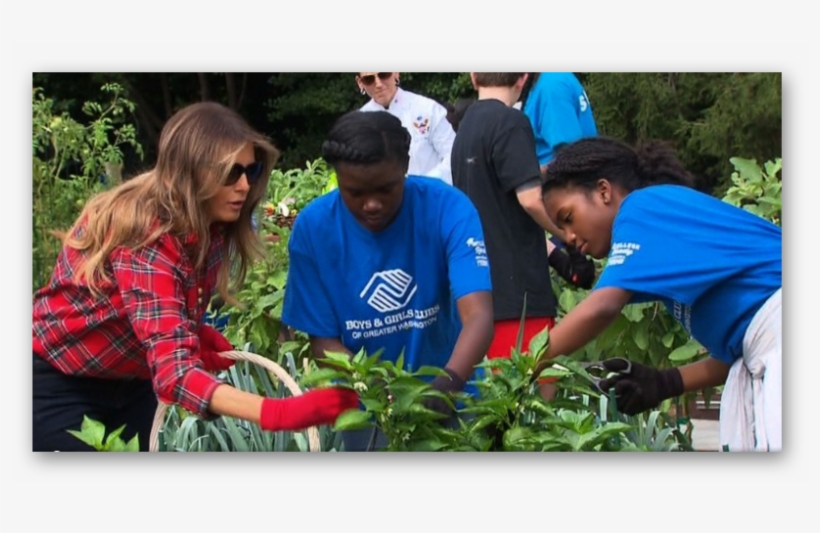 Ashampoo Snap - Melania Trump White House Garden, transparent png #7992845
