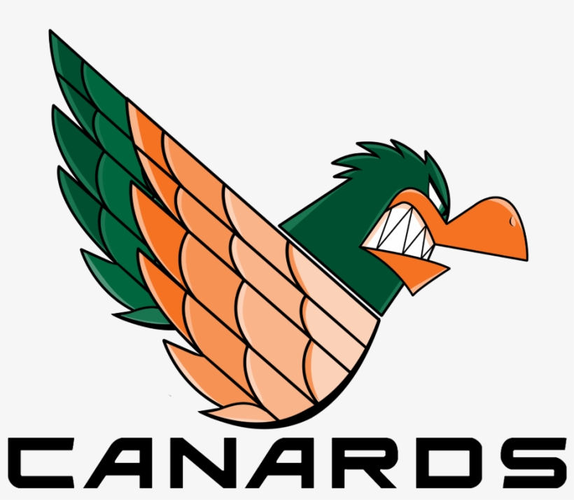 Welcome The Louisville Canards - Duck, transparent png #7993414