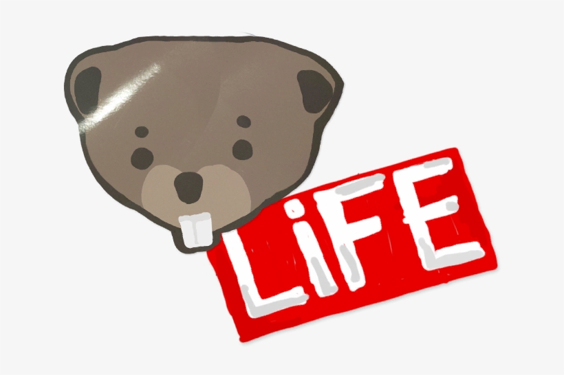 Barbet Clipart Victorian - Diary Life Is Strange Png, transparent png #7996139