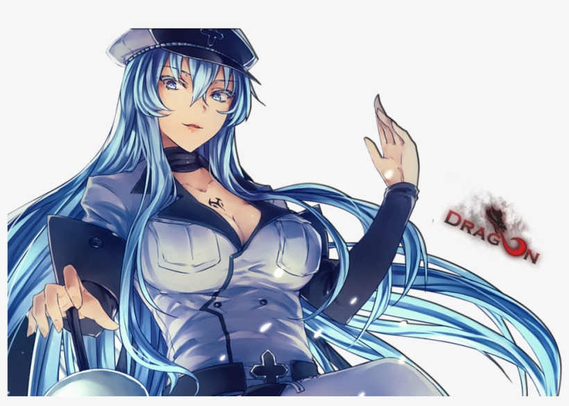 Akame Ga Kill Ice Girl, transparent png #7996810