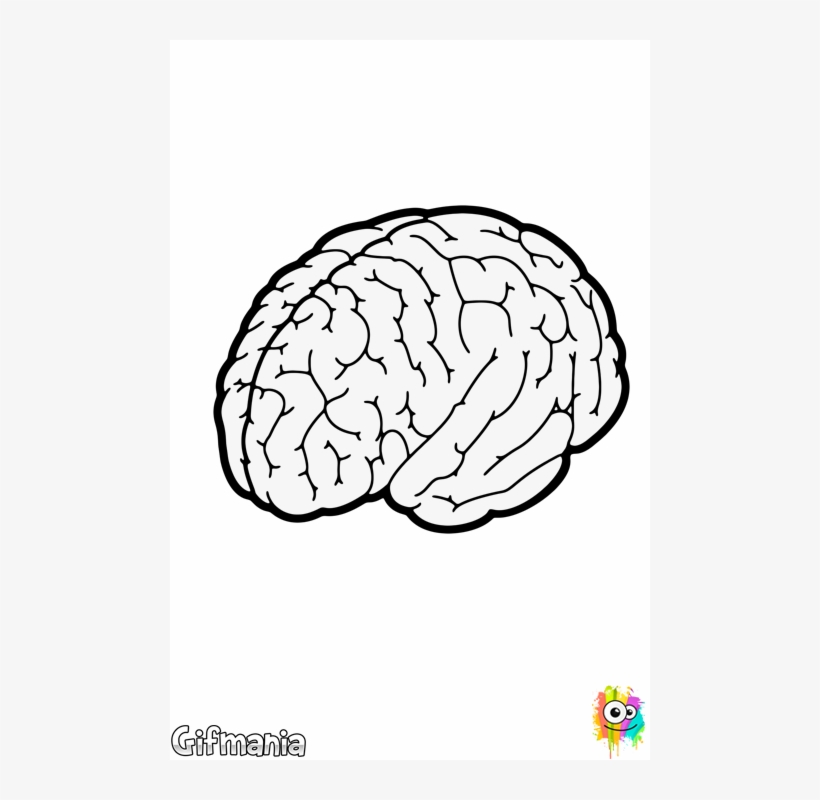 480 X 720 3 - Black And White Brain, transparent png #7998169