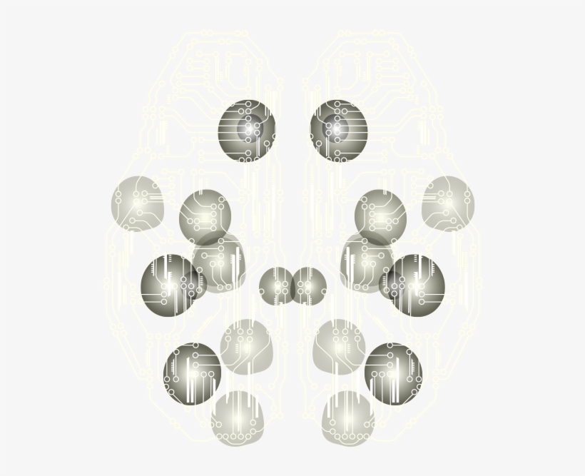 Sciences - Shell, transparent png #7998237