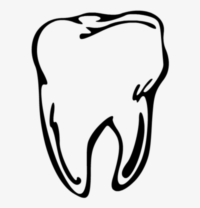 Tooth Line Drawing At Getdrawings - Tand Prent, transparent png #80304