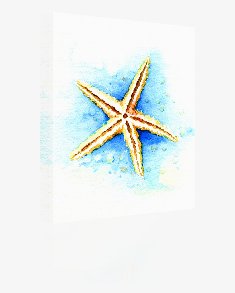 Watercolor - Bild Seestern Aquarell, transparent png #80428