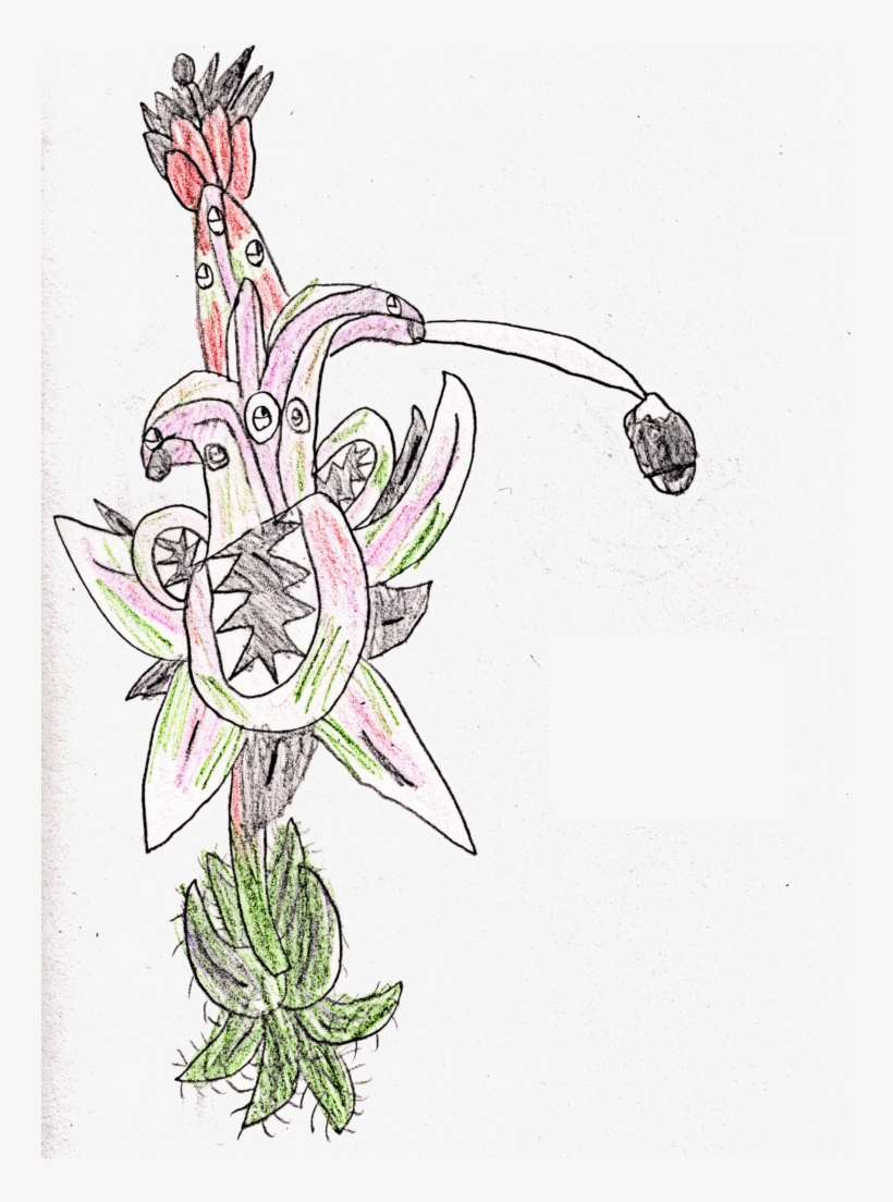 New Characters - Brassia, transparent png #80589