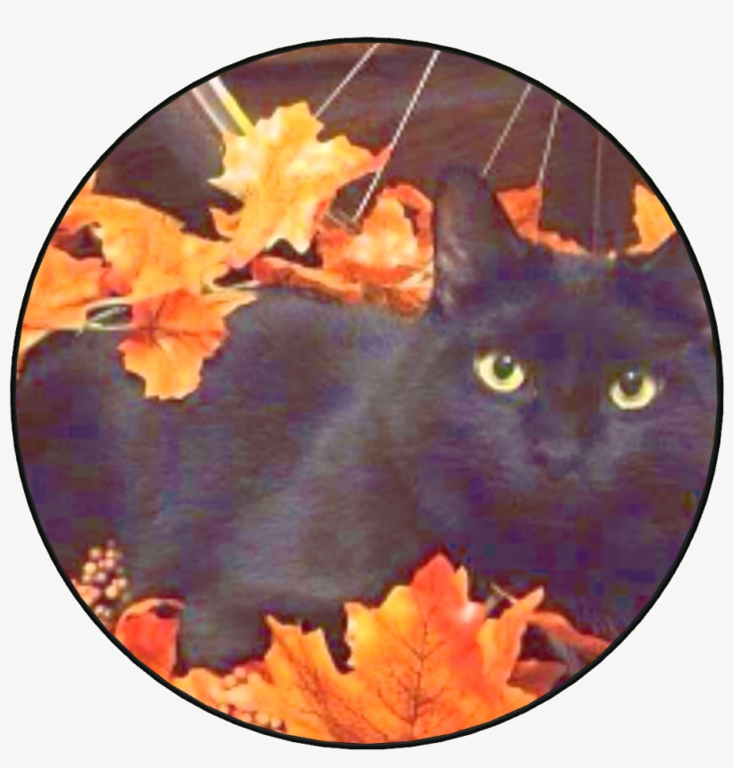 Halloween Cat - Black Cat Autumn, transparent png #80767