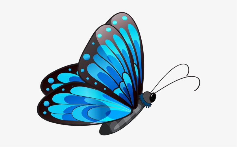 0, - Flying Butterfly Clip Art - Free Transparent PNG ...