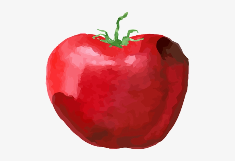 Cherry Tomato - Apple, transparent png #81069
