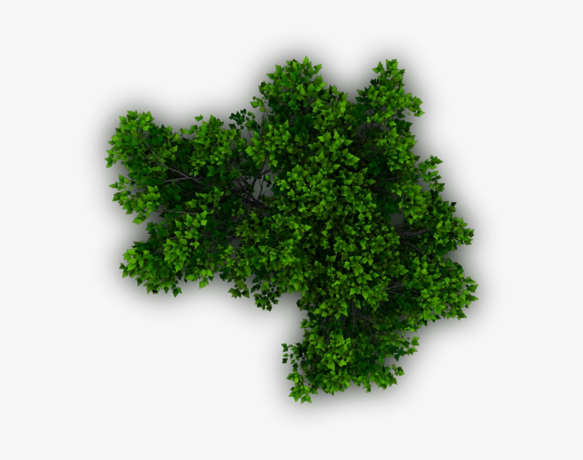 Free Shrub Png Plan View Download - Dundjinni Mapping Software Plants, transparent png #81155