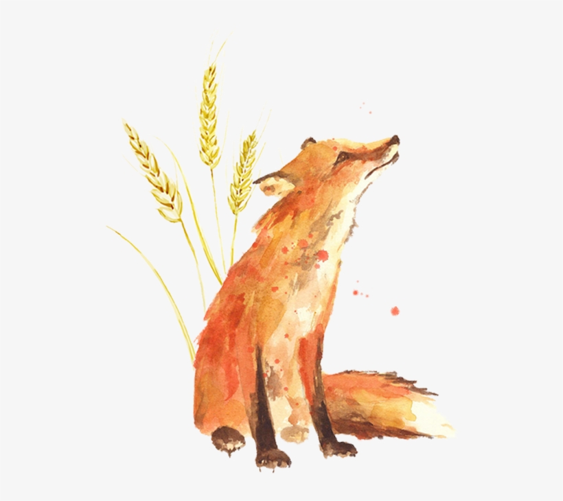Little Prince Fox Wheat, transparent png #81325