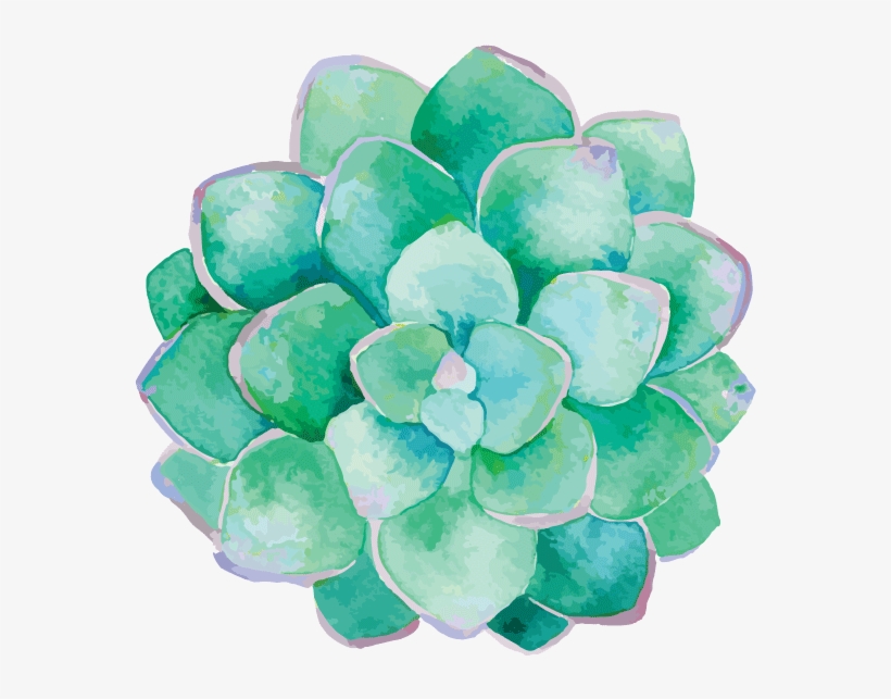 Download Cultivate Classes Lessons Lehigh Watercolor Succulent Png Free Transparent Png Download Pngkey