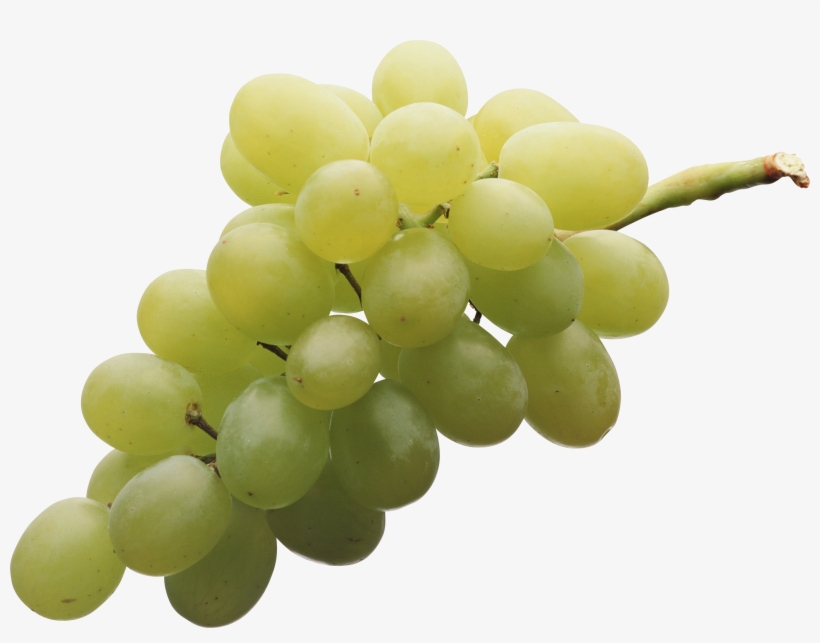 Green Grape Png Image - Grapes Png, transparent png #81472