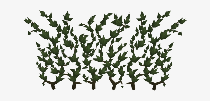 File - Ivy - Ivy Rs, transparent png #81518