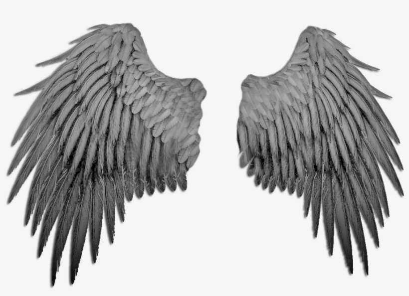 Black Angel Wings By Marioara - Paris, transparent png #81638