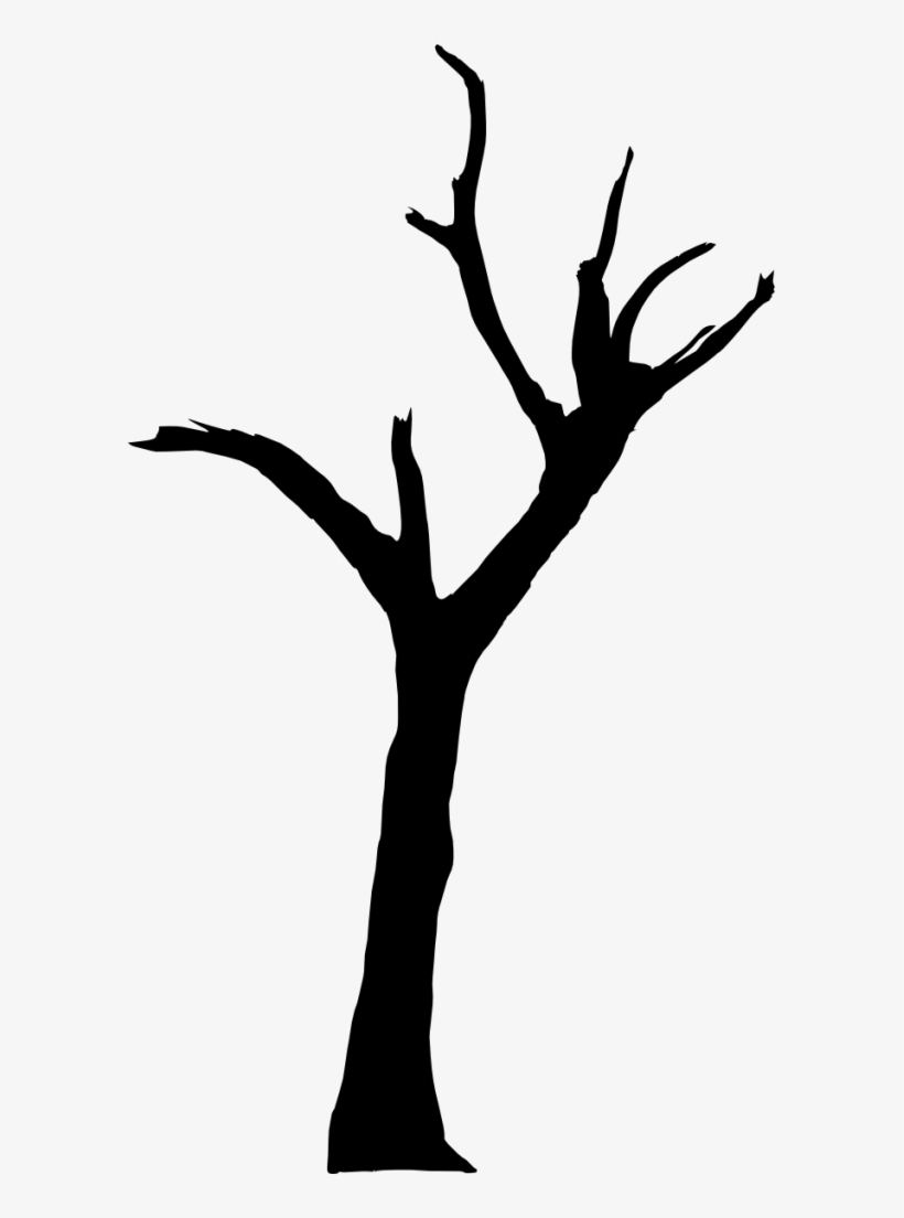 Free Png Dead Tree Silhouette Png Images Transparent - Deadvlei, transparent png #81998