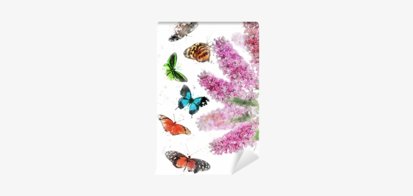 Watercolor Image Of Butterfly Bush Wall Mural • Pixers® - Watercolor Painting, transparent png #82320