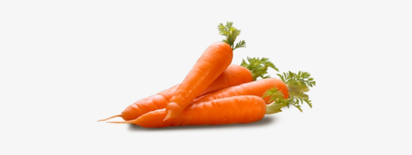 Carrot - Stx International Stx-1000-ce Chef S Elite 15 Minute, transparent png #82480