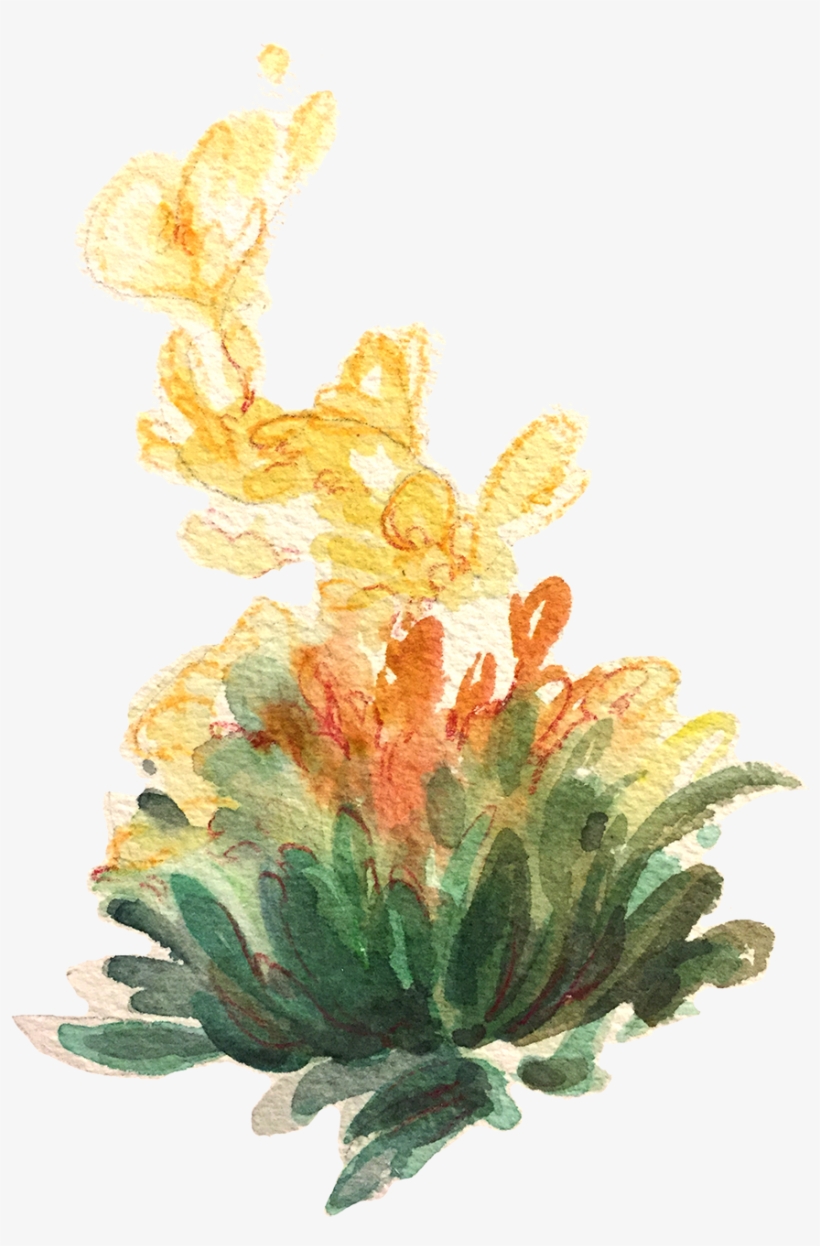 A Study Of Tea Leaves - Drawing, transparent png #82499