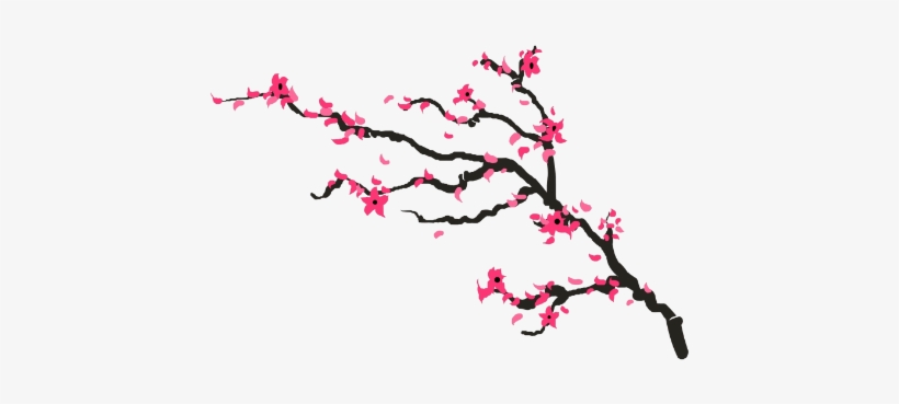 Drawn Cherry Blossom Transparent - Cherry Blossom Drawing Png, transparent png #82670