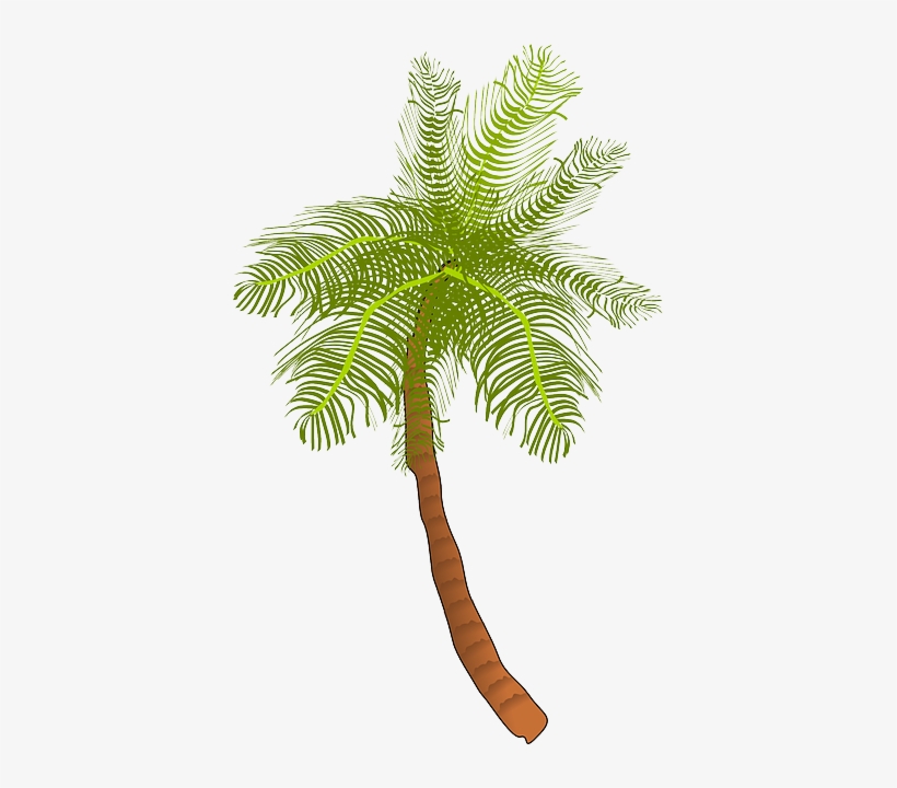 Palm, Tree, Ocean, Summer, Vacation, Beach, Palm Leaf - Coconut Tree Clip Art, transparent png #82903