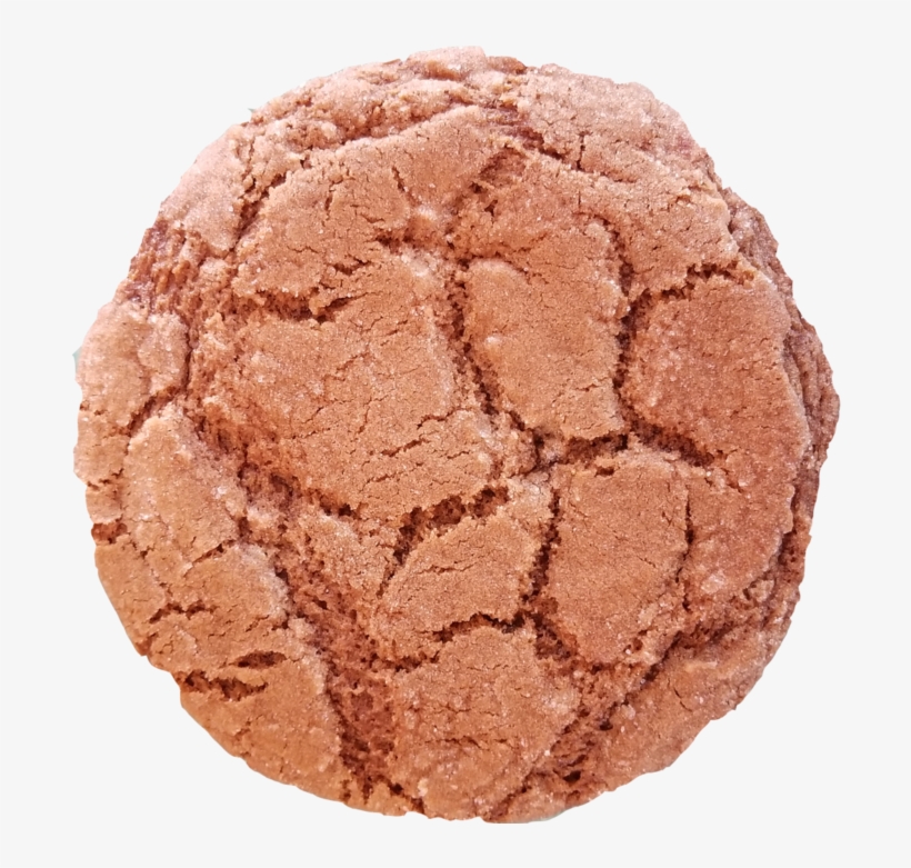 Gingersnap - Ginger Nut, transparent png #82906