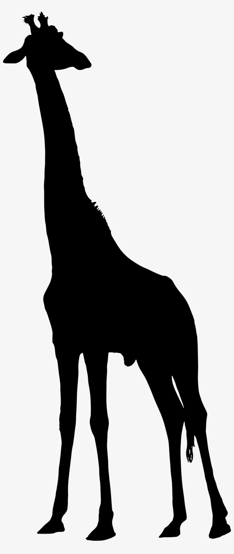 Giraffe Silhouette Png - Silhouette Giraffe Clipart, transparent png #83036