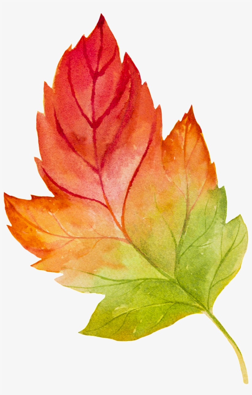This Graphics Is Hand Painted Watercolor Gradient Leaves - Vector Graphics, transparent png #83296